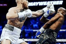 娱乐嘴炮吃瓜视频下载,揭秘娱乐圈幕后故事