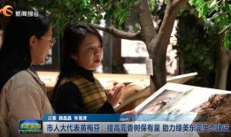 晚秋爆料大橙子视频,大橙子视频背后的惊人真相